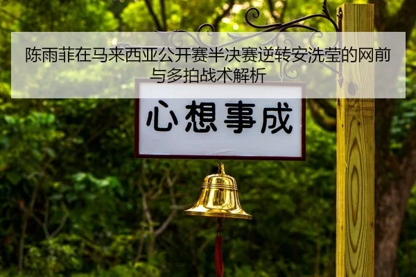 chen-yu-fei-zai-ma-lai-xi-ya-gong-kai-sai-ban-jue-sai-ni-zhuan-an-xi-ying-de-wang-qian-yu-duo-pai-zhan-shu-jie-xi-2-468.jpg