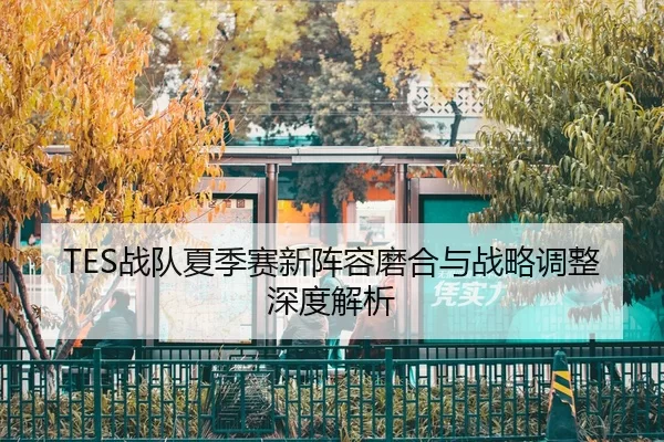 TES战队夏季赛新阵容磨合与战略调整深度解析