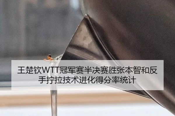 wang-chu-qin-guan-jun-sai-ban-jue-sai-sheng-zhang-ben-zhi-he-fan-shou-ning-la-ji-shu-jin-hua-de-fen-lv-tong-ji-3-374.jpg