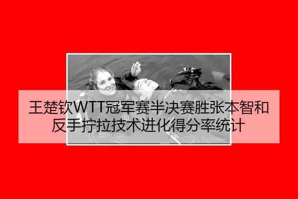 王楚钦WTT冠军赛半决赛胜张本智和反手拧拉技术进化得分率统计